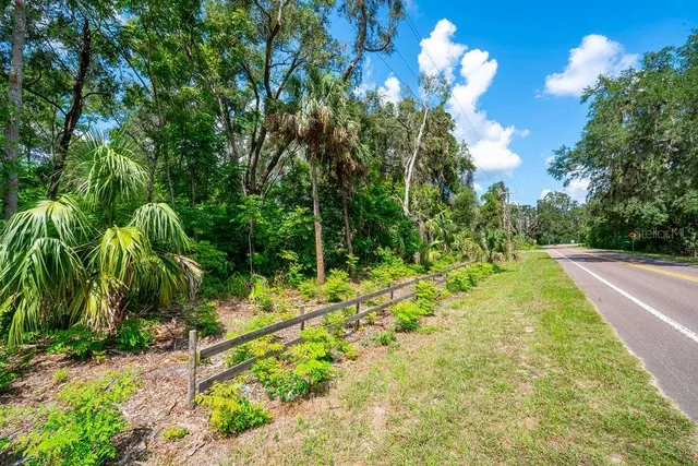 a view of a yard with large trees
