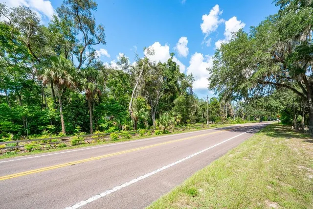 a view of a yard with a large trees