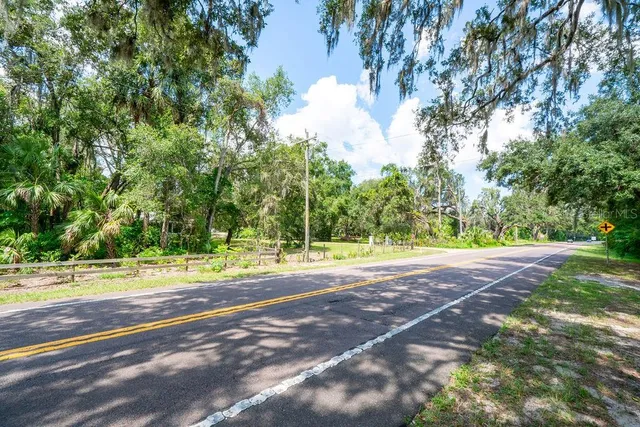 a view of a yard with a trees