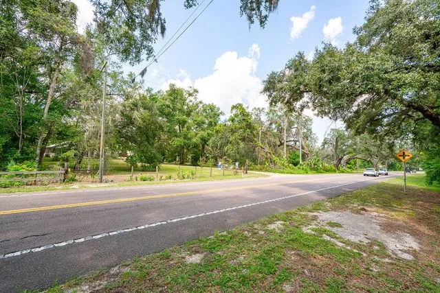 a view of a yard with large trees