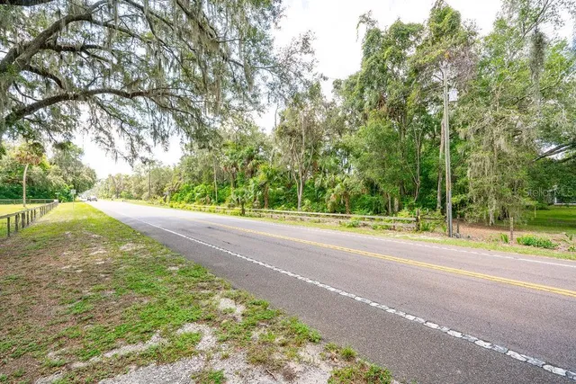 a view of a yard with large trees