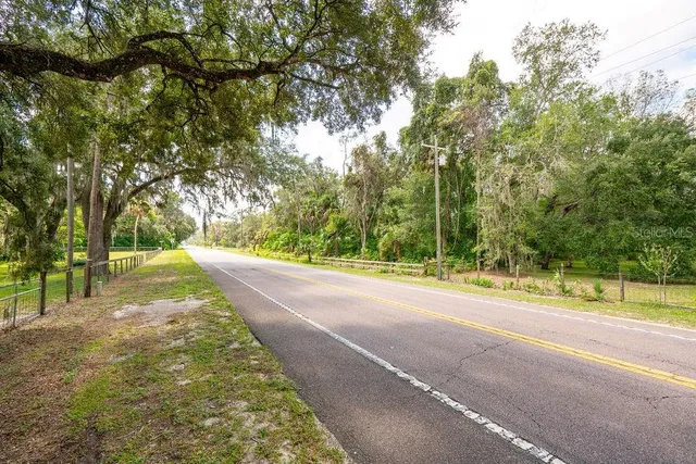 a view of backyard with green space