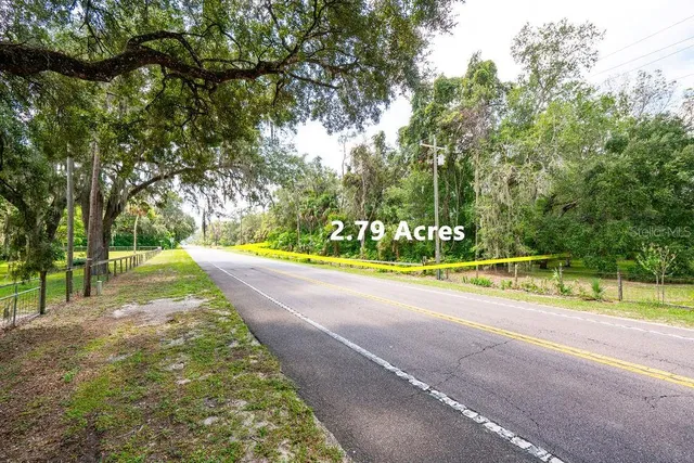 a view of a park with large trees