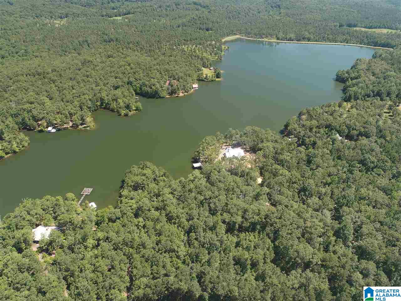 827 Colleton Forest Way, Unit 20 ACRES Vincent, AL 35178 - Photo 23 of 31