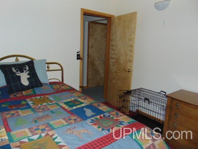 15195 County Road 505 Road Newberry, MI 49868 - Photo 10 of 13