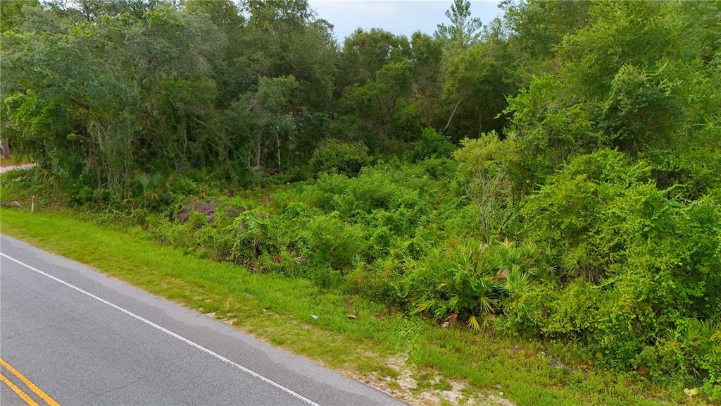 42 County Road Paisley, FL 32767 - Photo 8 of 8 Gallery Image 8