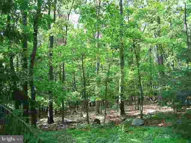 1336 Kuhn Road Boiling Springs, PA 17007 - Photo 23 of 25 Gallery Image 23