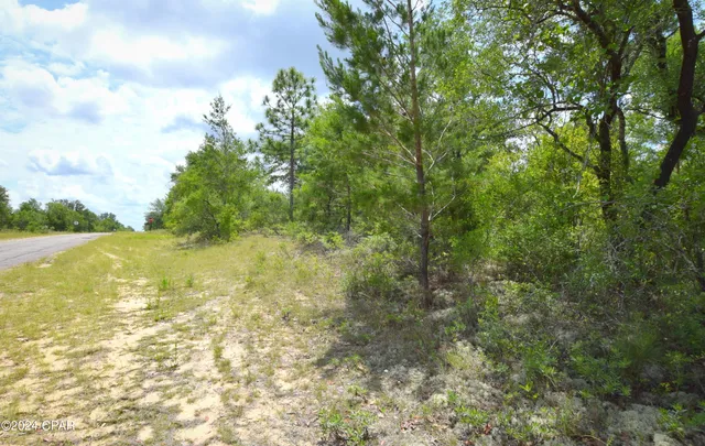 $5,500 | Tbd Tbd Drive, Chipley, FL 32428
