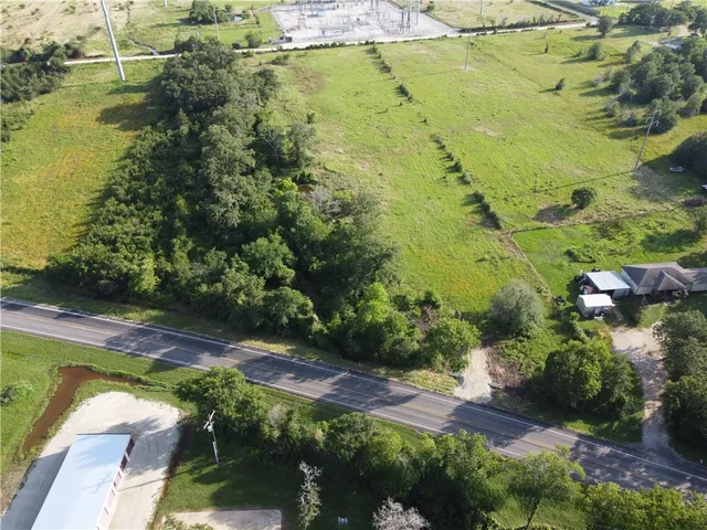 a view of a yard with plants and large trees