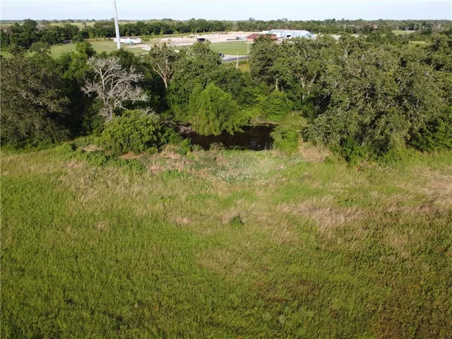 a view of a forest with a lake