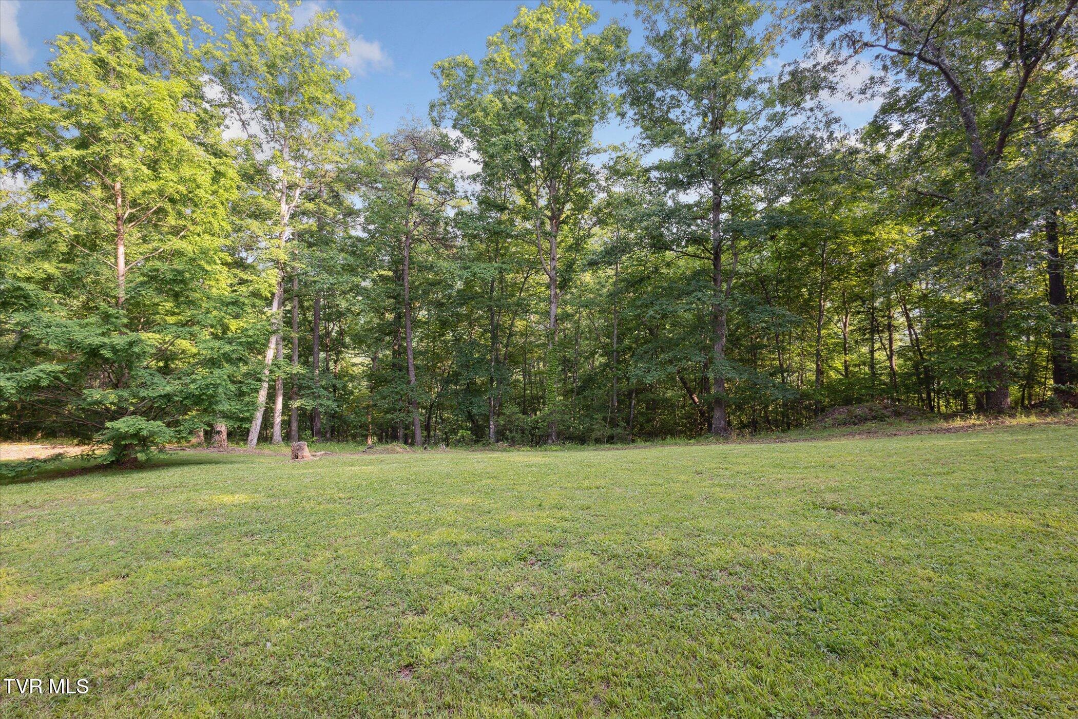 9245 Mendota Road Mendota, VA 24270 - Photo 27 of 42 *