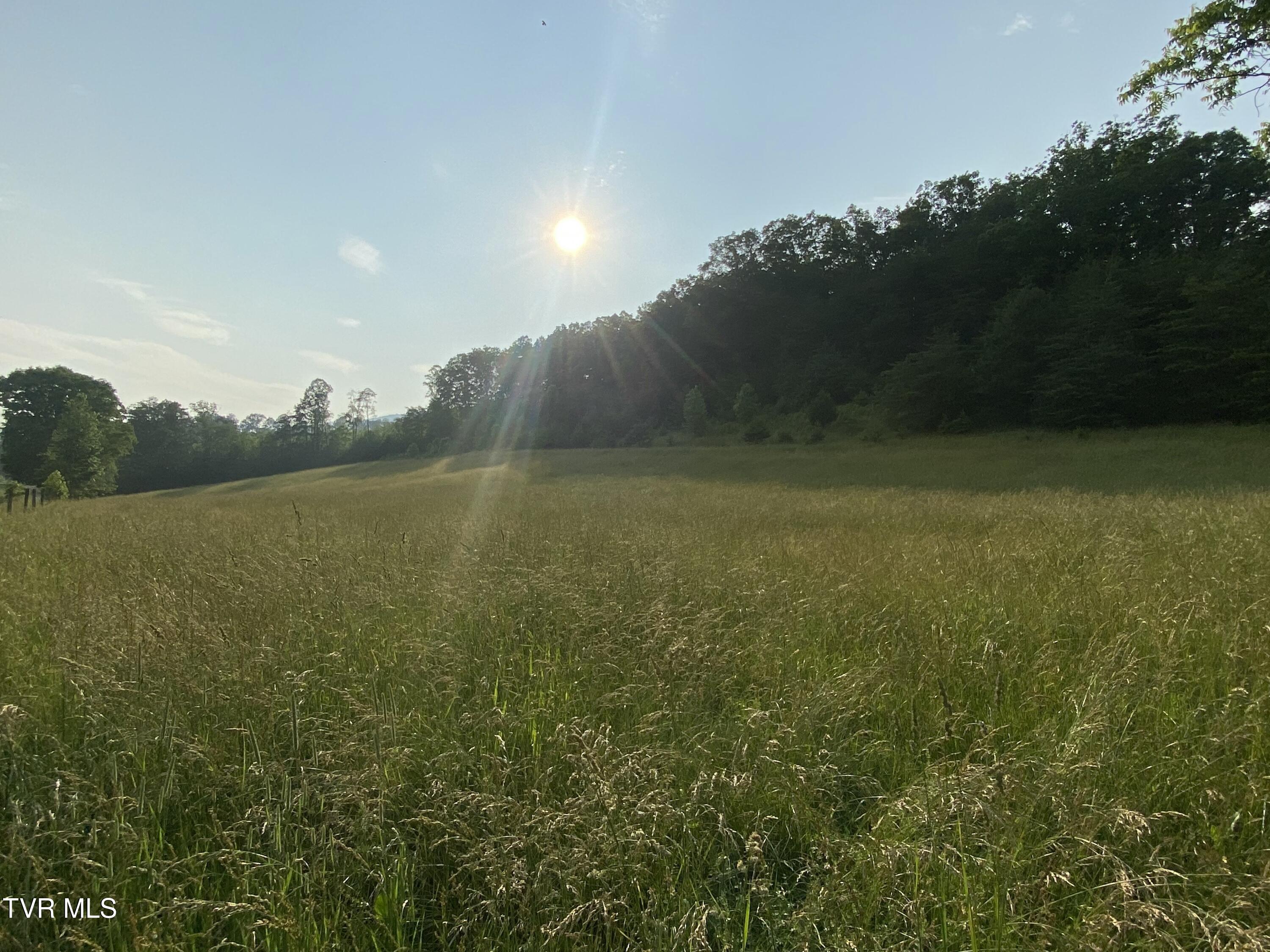 9245 Mendota Road Mendota, VA 24270 - Photo 3 of 42 1000005625