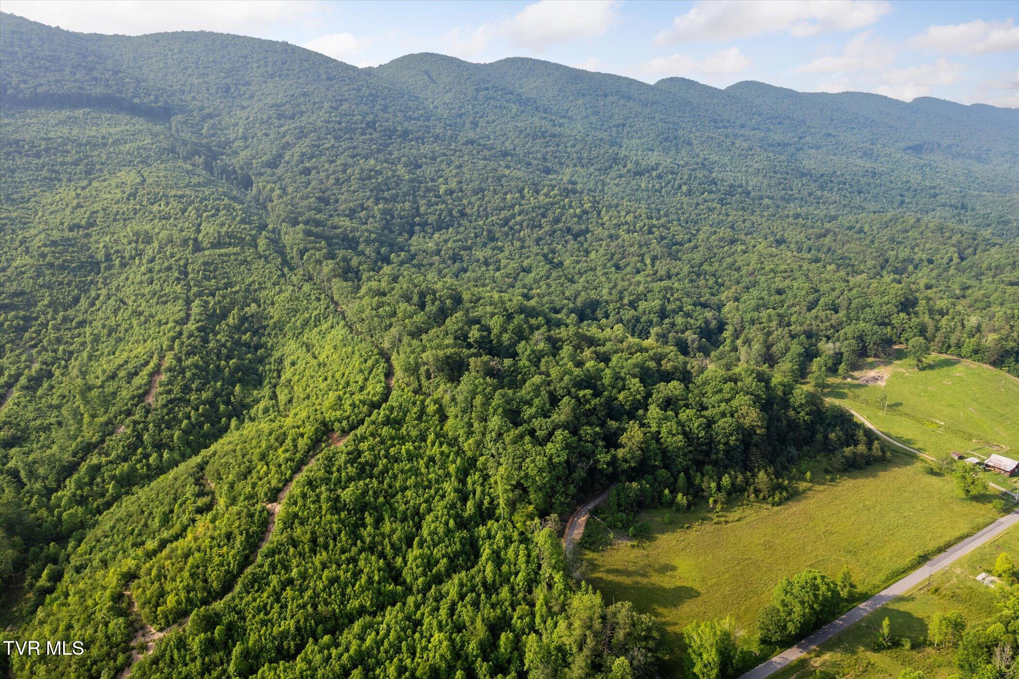 9245 Mendota Road Mendota, VA 24270 - Photo 33 of 42 *