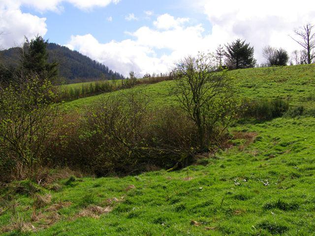 23 Skyview Road Tillamook, OR 97141 - Photo 20 of 41 P3180298