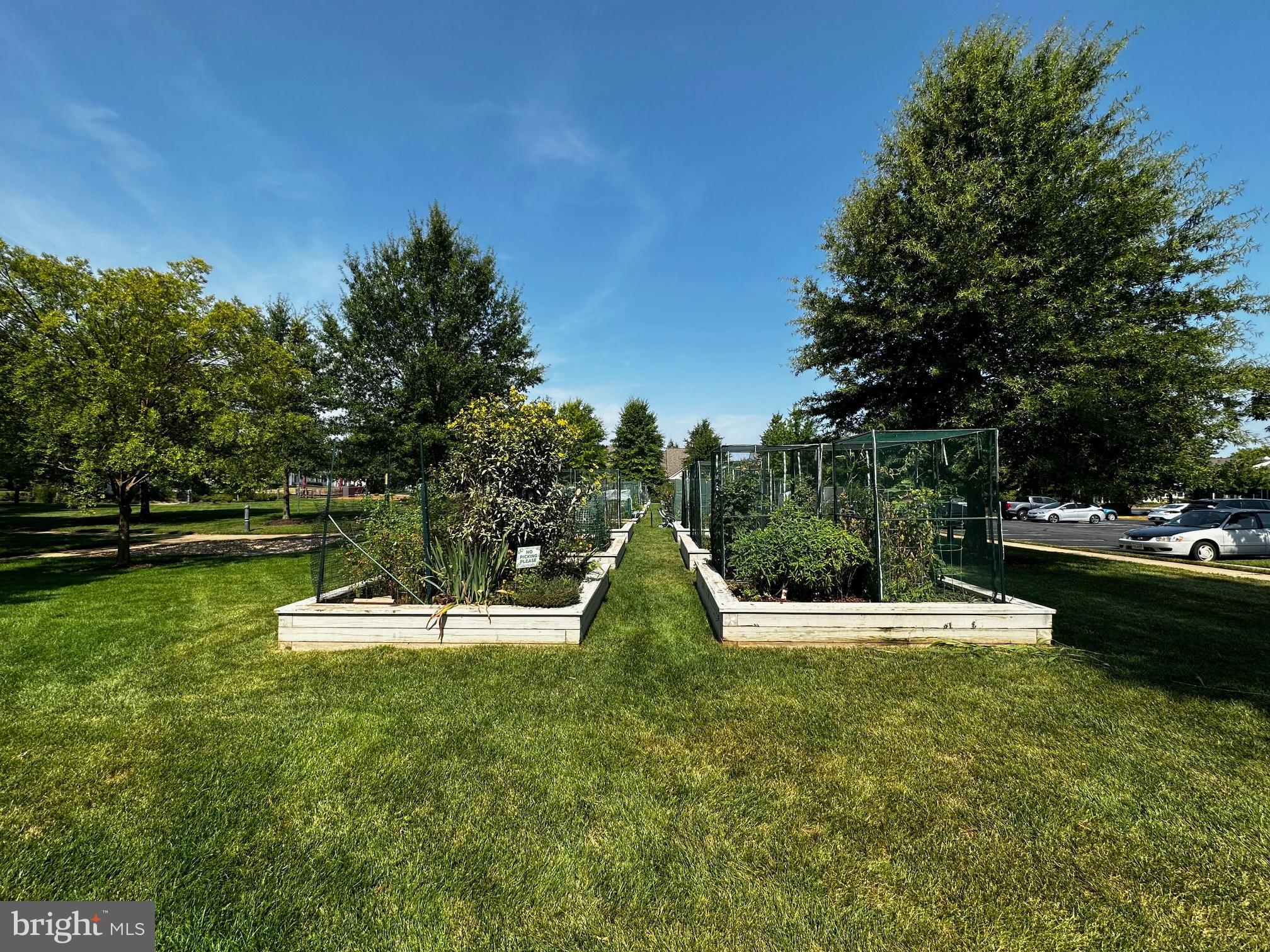 20655 Hope Spring Terrace, Unit 104 Ashburn, VA 20147 - Photo 29 of 40 Gardening Plots