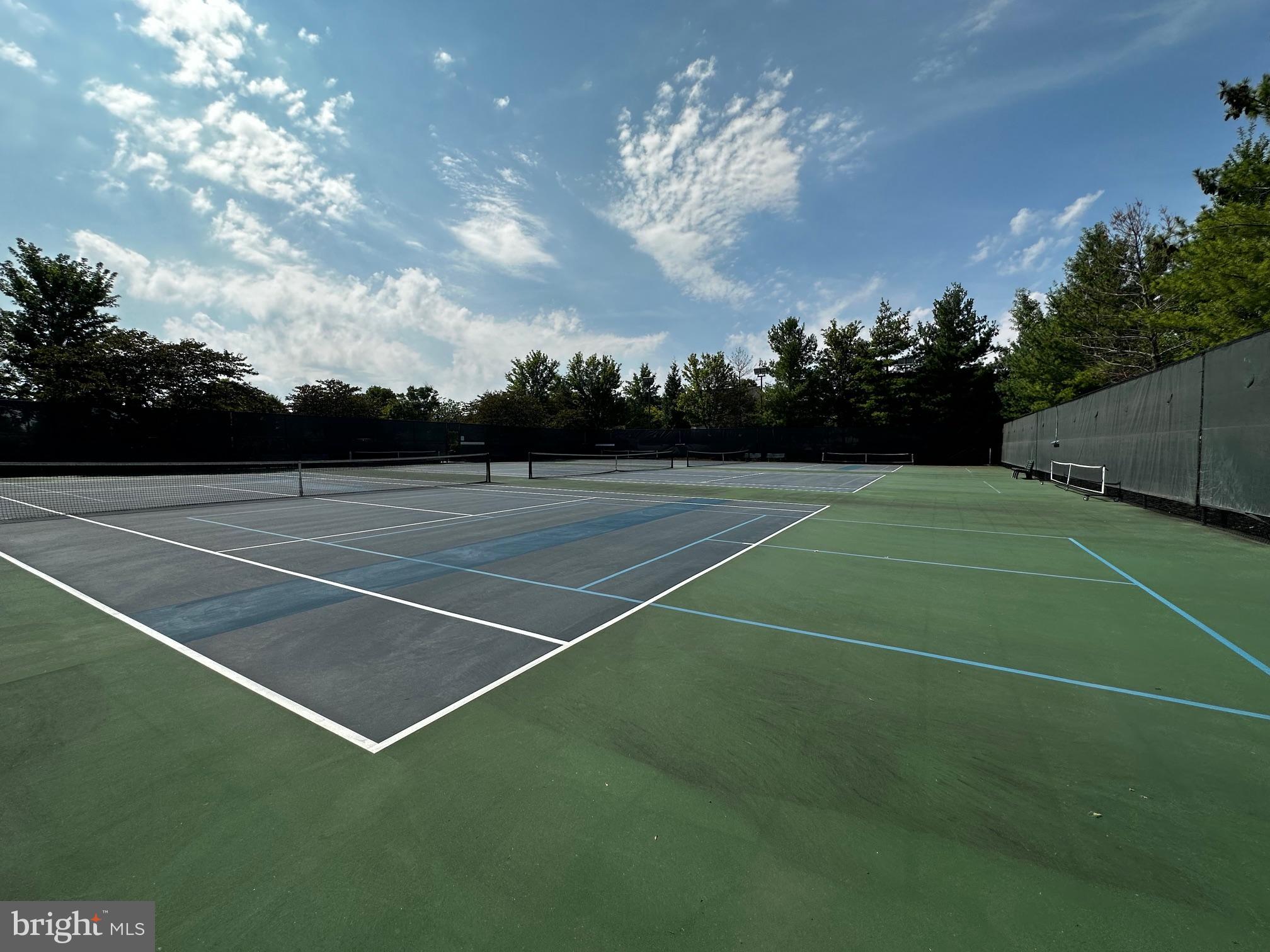 20655 Hope Spring Terrace, Unit 104 Ashburn, VA 20147 - Photo 30 of 40 Tennis and Pickleball Courts