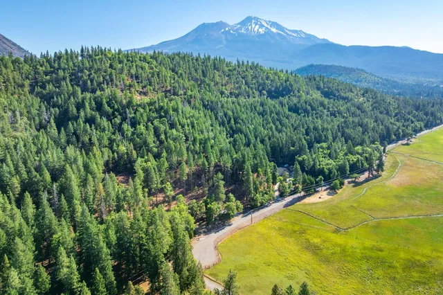 a view of a backyard with plants