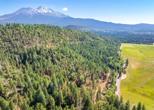 a house with trees in the background