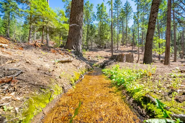 $805,000 | 1901 Wyehka Way, Mount Shasta, CA 96067