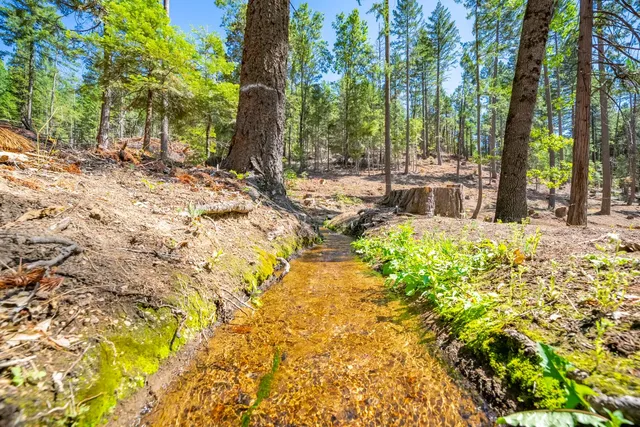 $805,000 | 1901 Wyehka Way, Mount Shasta, CA 96067