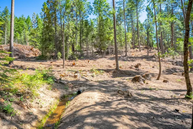 $805,000 | 1901 Wyehka Way, Mount Shasta, CA 96067