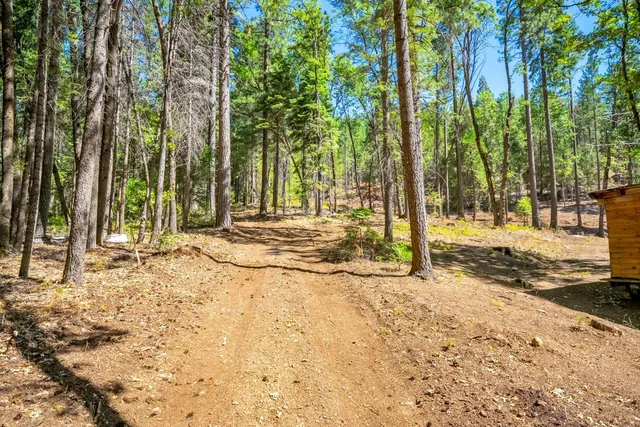 $805,000 | 1901 Wyehka Way, Mount Shasta, CA 96067