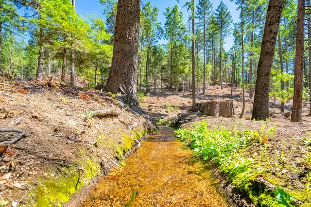 $805,000 | 1901 Wyehka Way, Mount Shasta, CA 96067