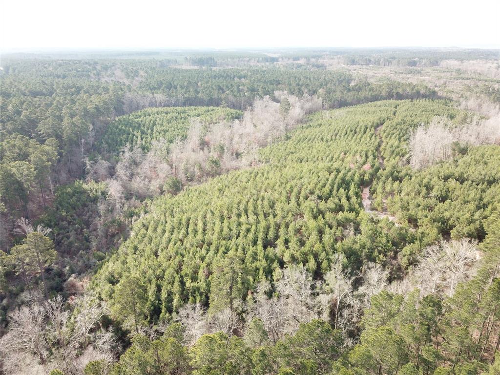 0 McManus Road Zwolle, LA 71486 - Photo 2 of 10 a view of a city with green space