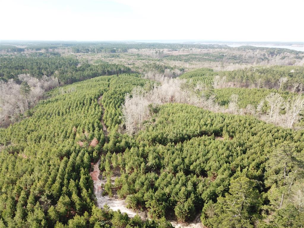 0 McManus Road Zwolle, LA 71486 - Photo 3 of 10 an aerial view of residential houses with outdoor space and trees