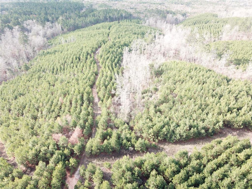 0 McManus Road Zwolle, LA 71486 - Photo 4 of 10 a view of a yard with plants and wooden fence