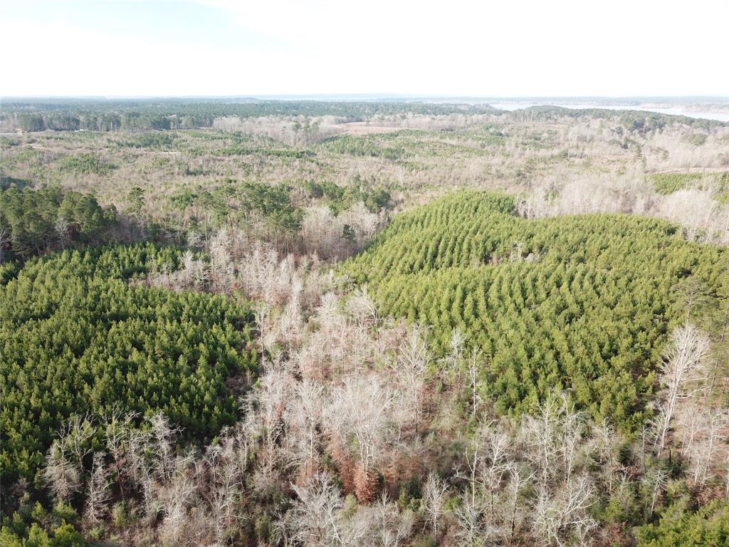 0 McManus Road Zwolle, LA 71486 - Photo 6 of 10 an aerial view of mountain with trees