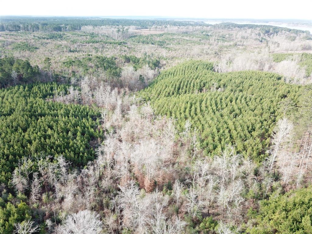 0 McManus Road Zwolle, LA 71486 - Photo 8 of 10 a view of a lush green field with lots of bushes