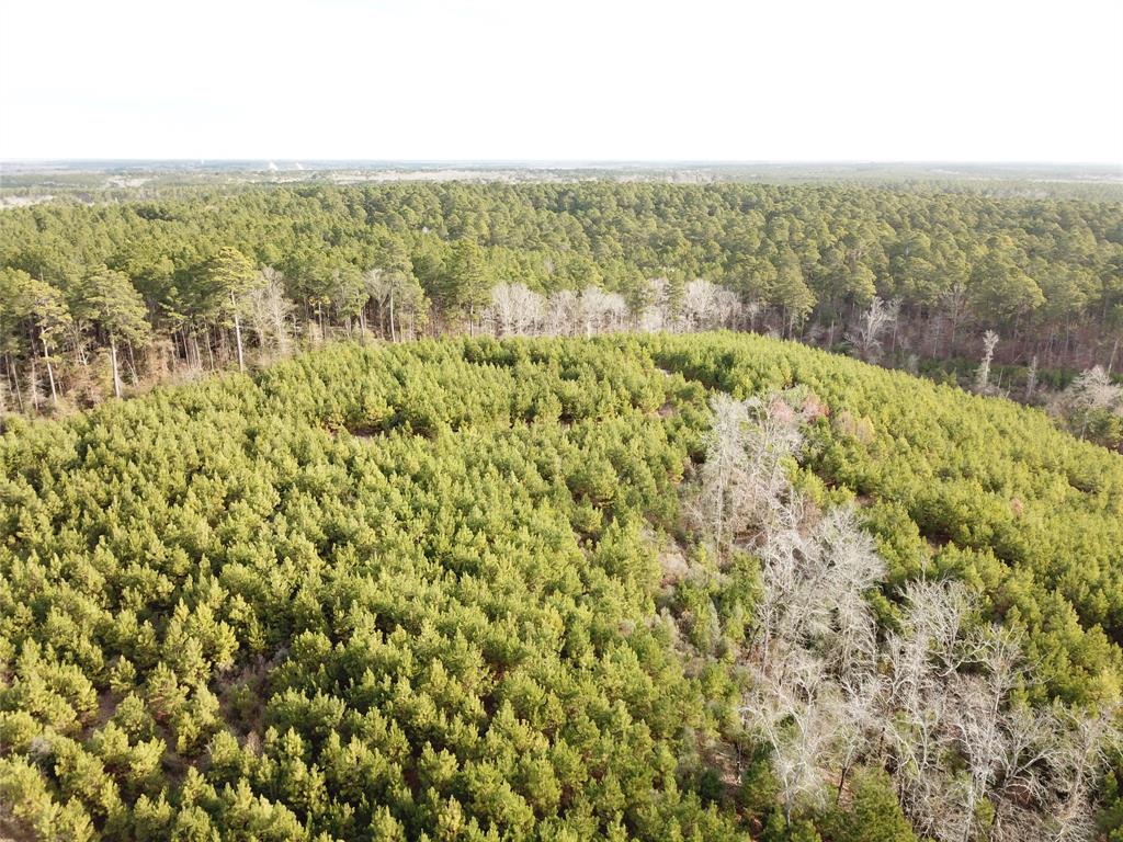 0 McManus Road Zwolle, LA 71486 - Photo 9 of 10 a view of a field with an ocean