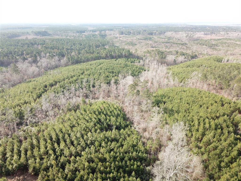 0 McManus Road Zwolle, LA 71486 - Photo 10 of 10 a view of city and mountain