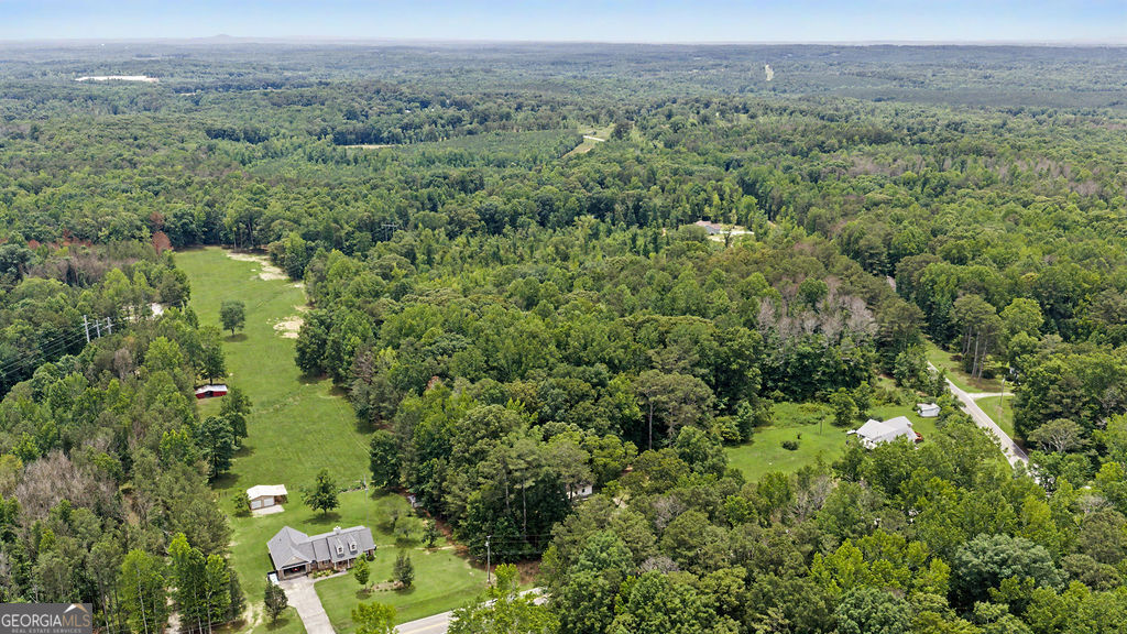 1665 Kansas Jake Road Waco, GA 30182 - Photo 15 of 26