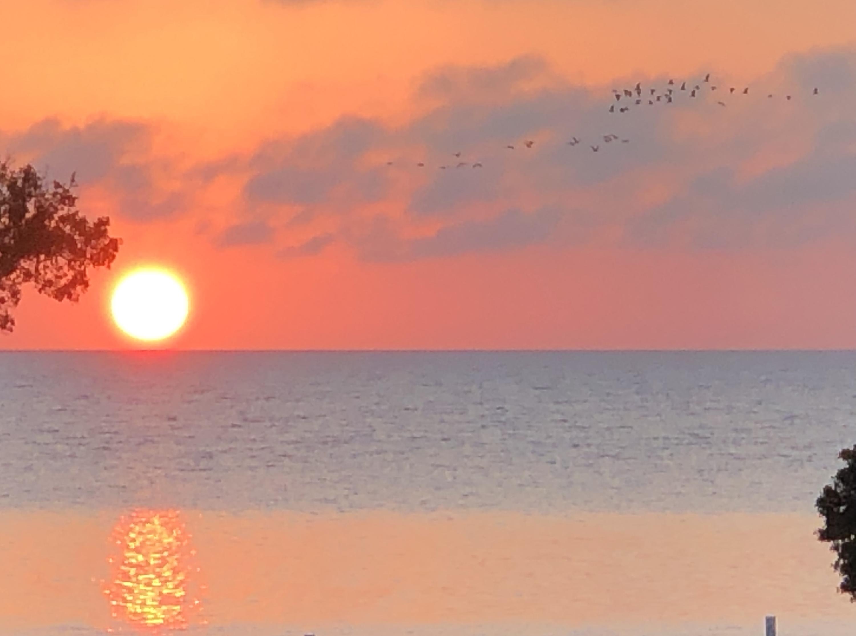558 Sombrero Beach Road Marathon, FL 33050 - Photo 55 of 55 Gorgeous Sunrises
