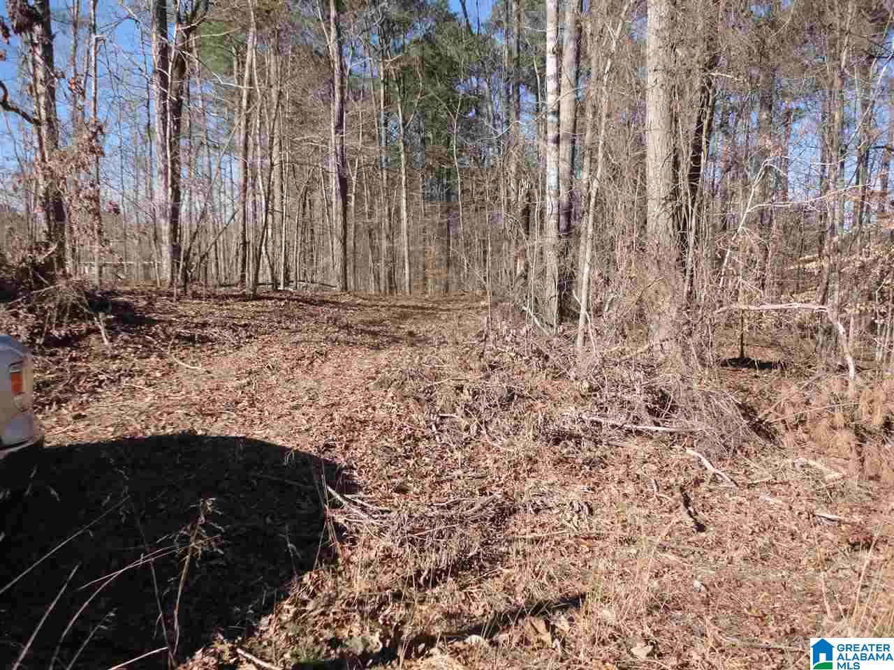 445 Crawfish Lane, Unit 14 15 Ragland, AL 35131 - Photo 7 of 8
