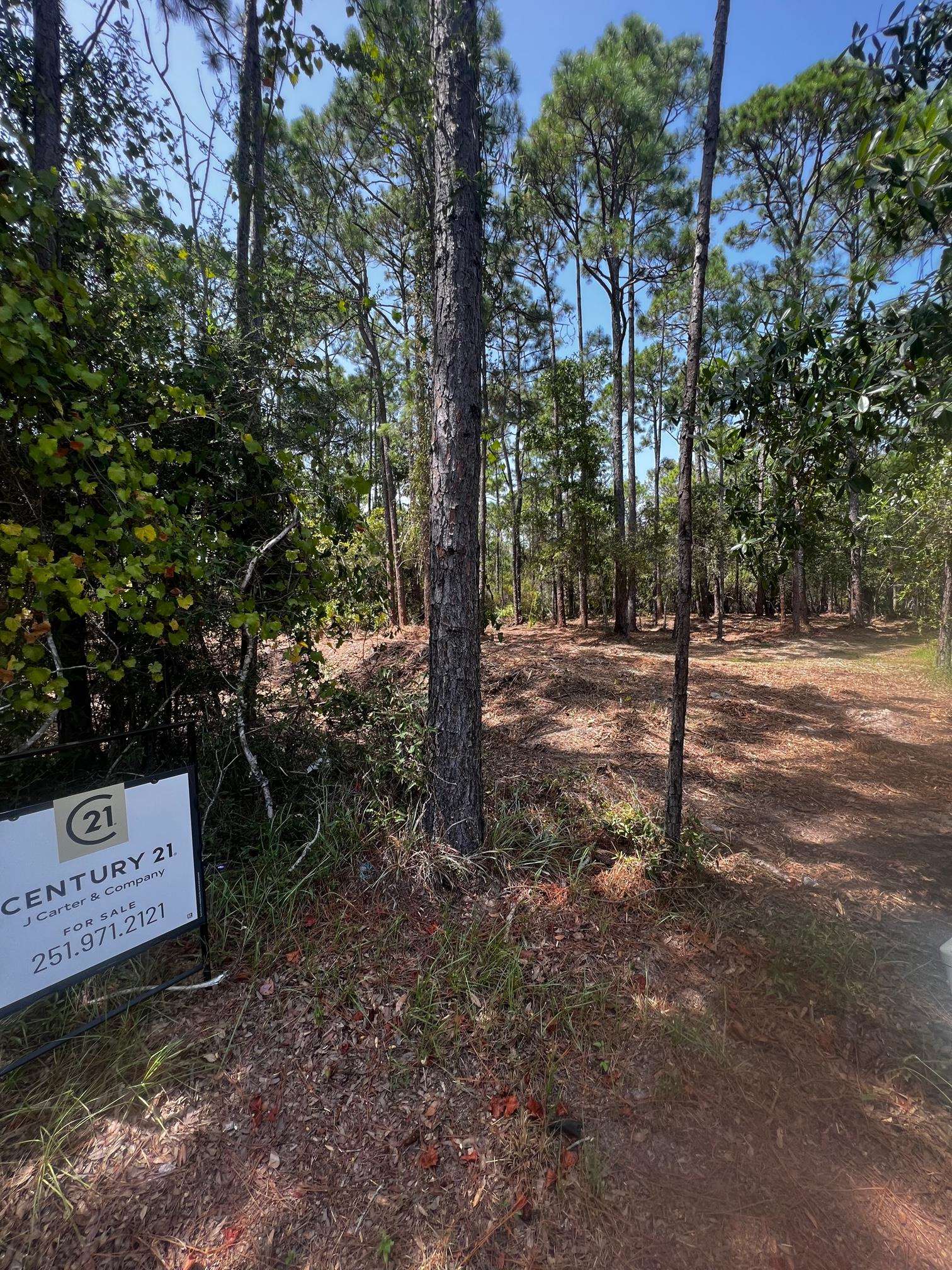 West Oak Ridge Drive Orange Beach, AL 36561 - Photo 3 of 5