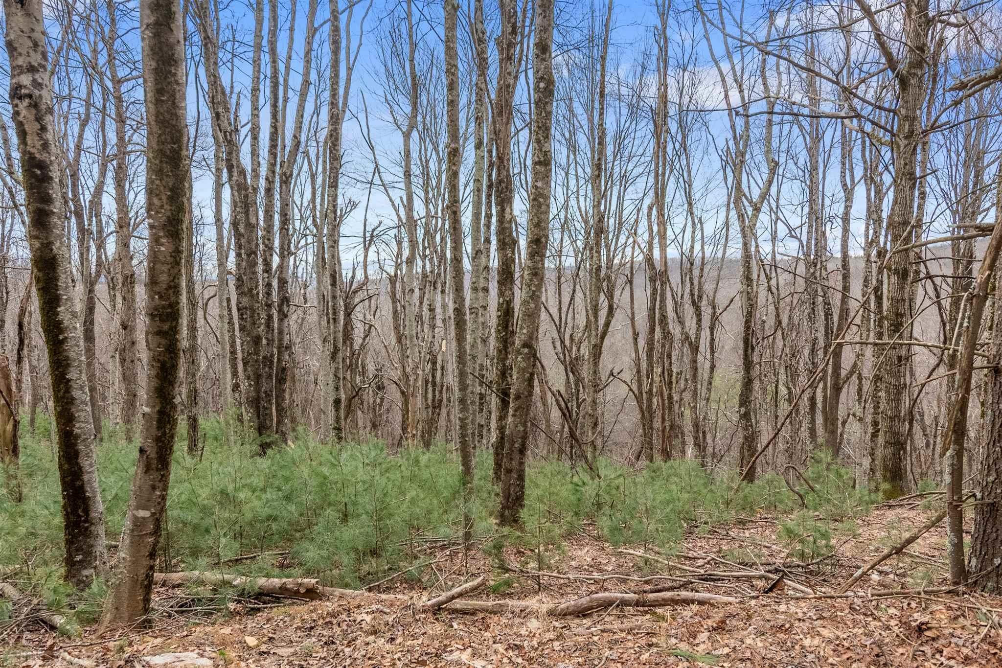 3253 Black Ridge Road Southwest Floyd, VA 24091 - Photo 65 of 75 Gallery Image 65