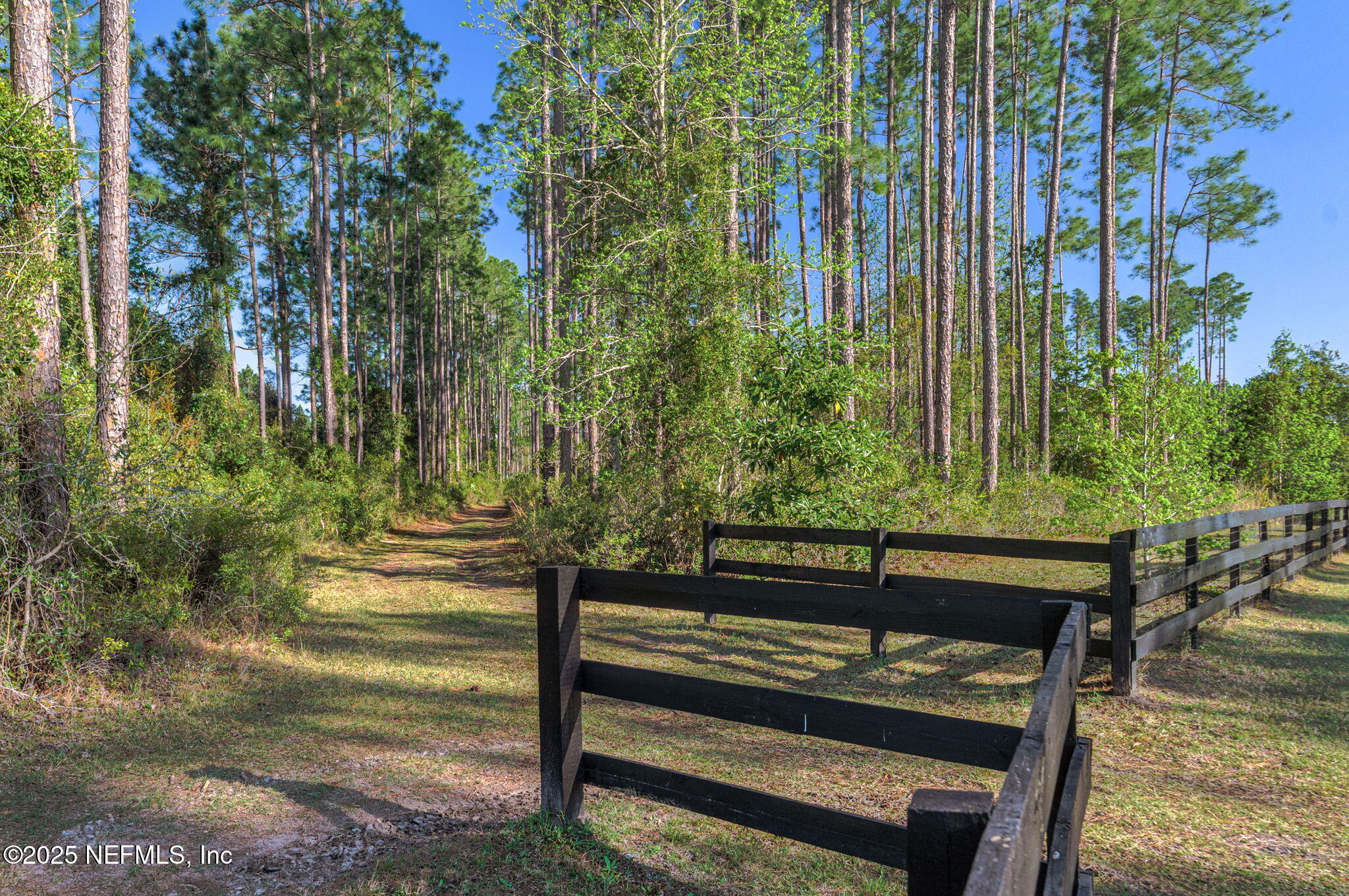 139 Foxcraft Street St. Augustine, FL 32092 - Photo 93 of 93 Bridle Path