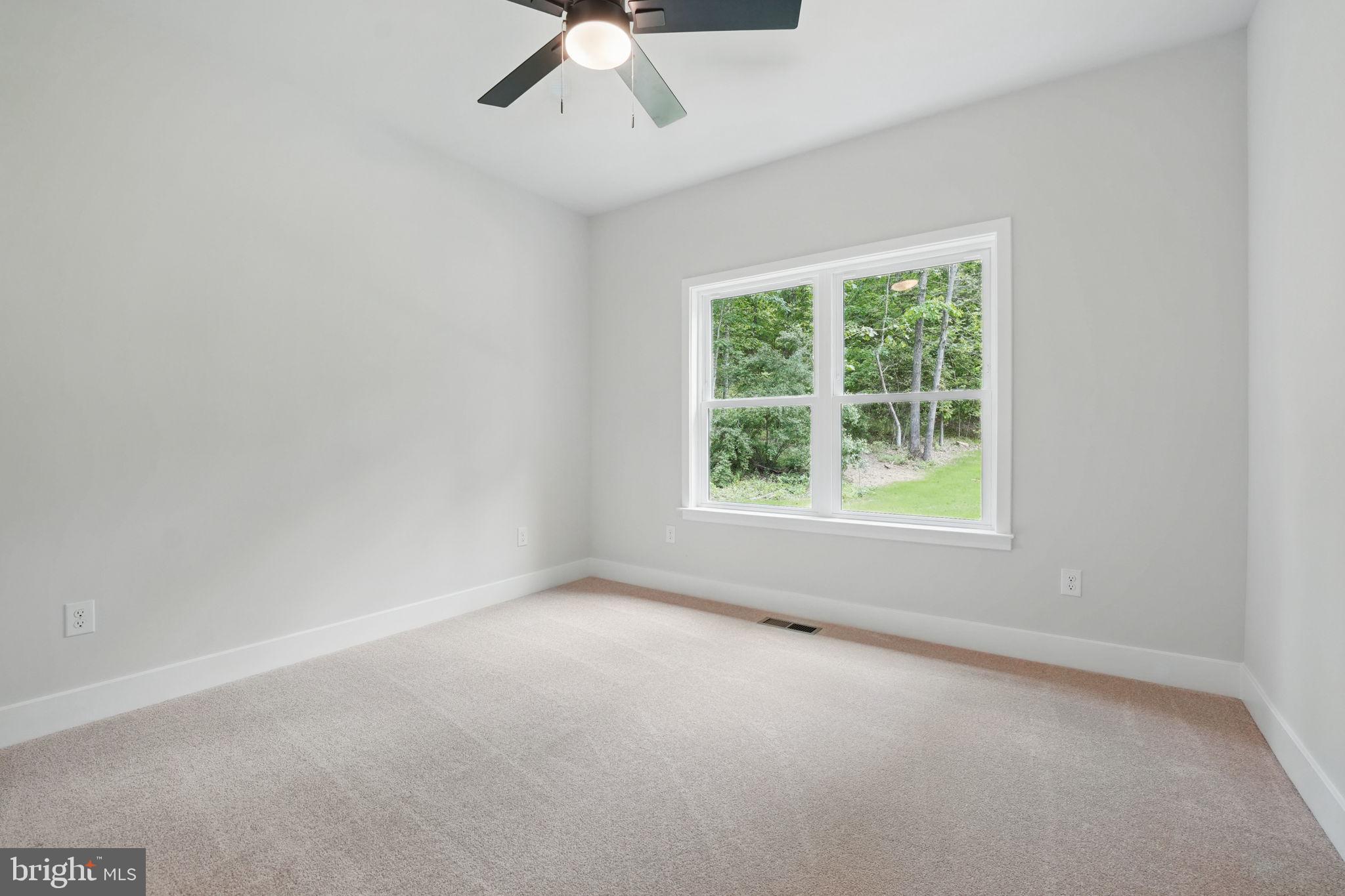 16355 Black Hill Road Rixeyville, VA 22737 - Photo 24 of 29 Gallery Image 24
