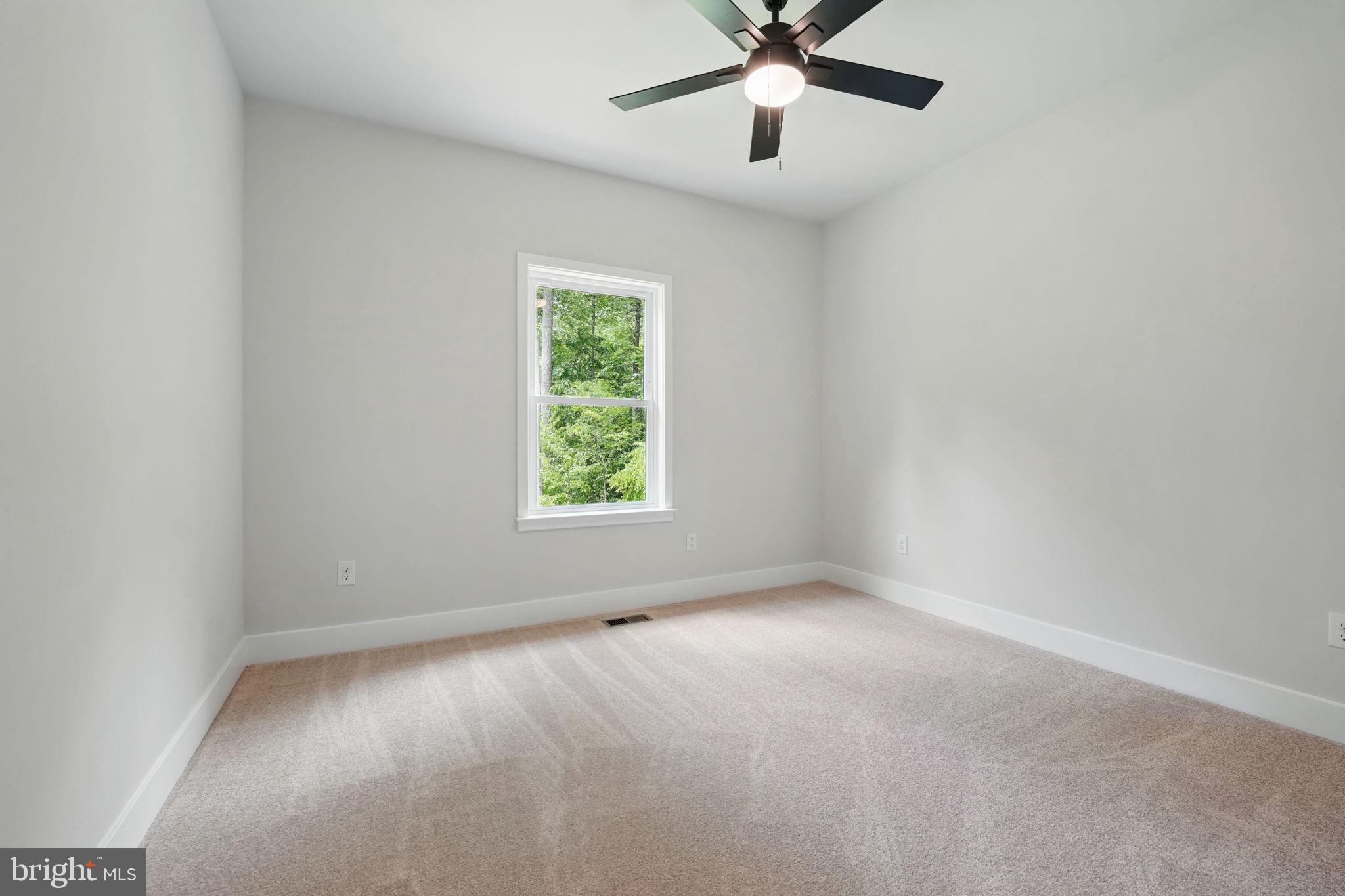 16355 Black Hill Road Rixeyville, VA 22737 - Photo 27 of 29 Gallery Image 27