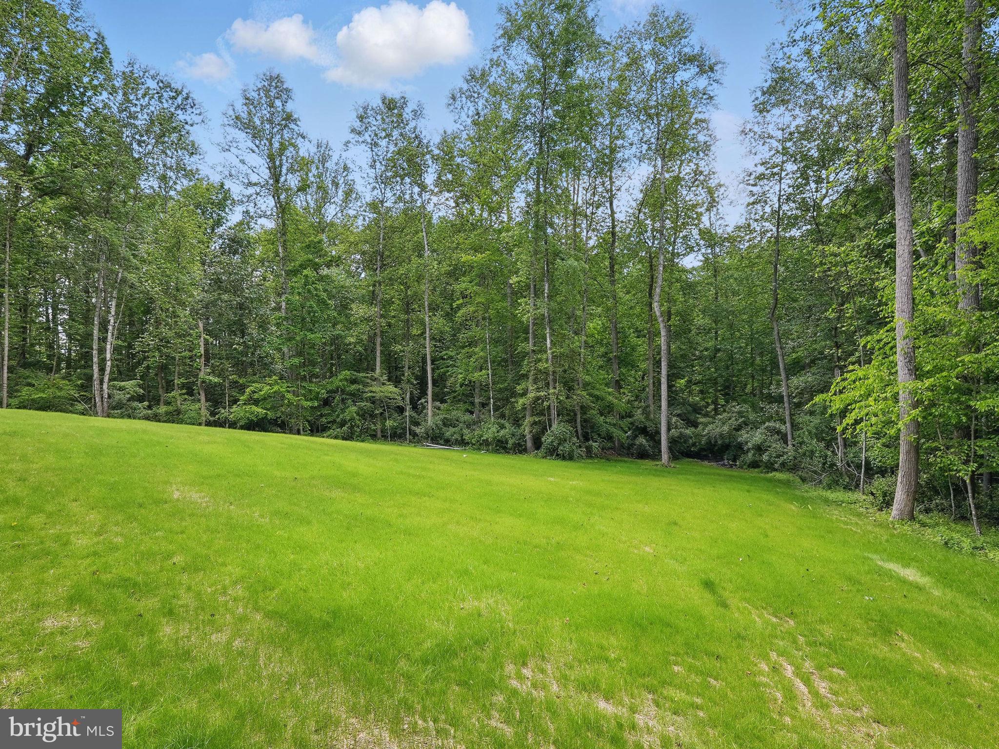 16355 Black Hill Road Rixeyville, VA 22737 - Photo 7 of 29 Gallery Image 7