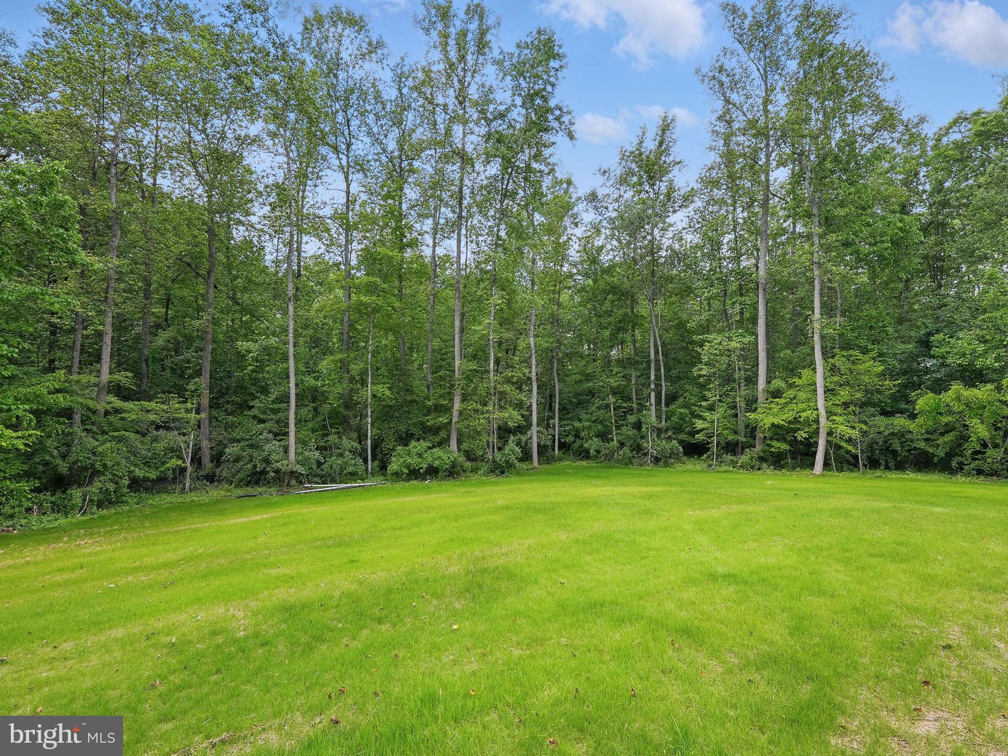 16355 Black Hill Road Rixeyville, VA 22737 - Photo 8 of 29 Gallery Image 8