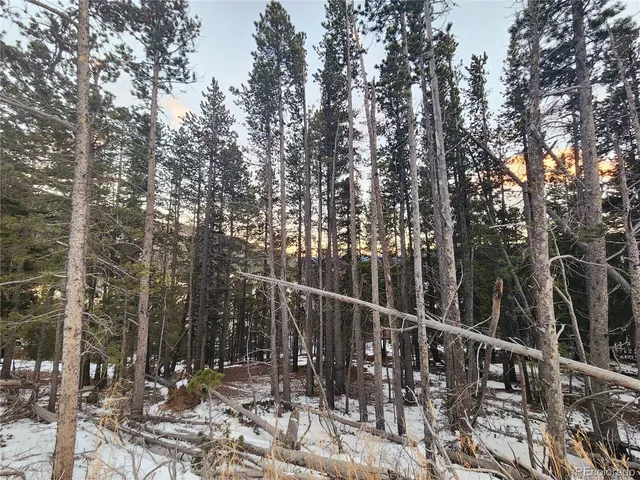 $35,000 | 0 Alice Road, Idaho Springs, CO 80452