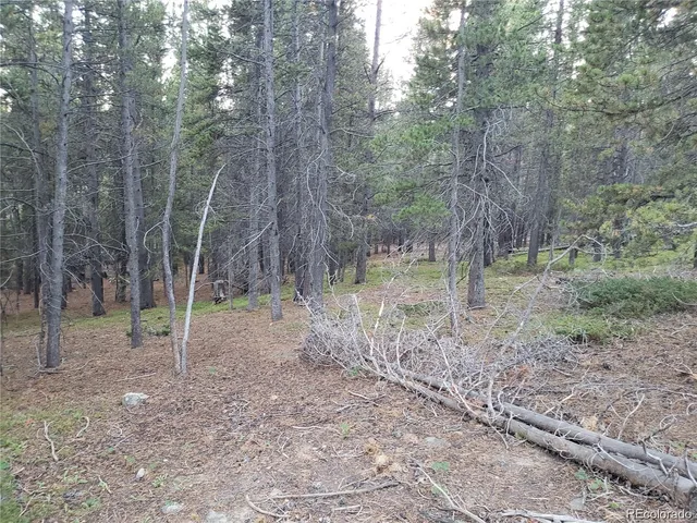 $35,000 | 0 Alice Road, Idaho Springs, CO 80452