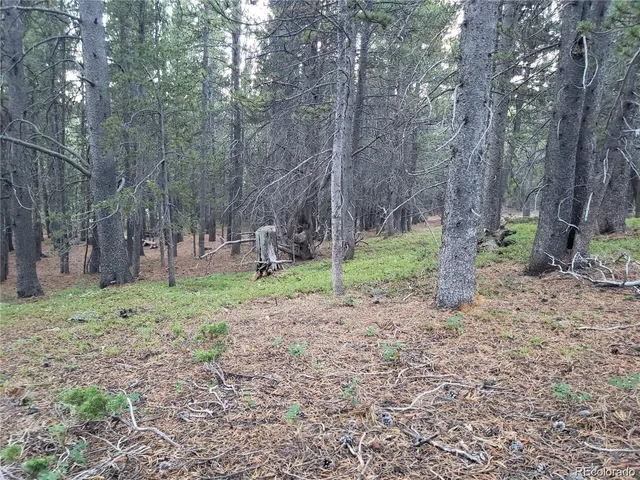$35,000 | 0 Alice Road, Idaho Springs, CO 80452