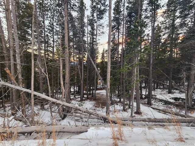 $35,000 | 0 Alice Road, Idaho Springs, CO 80452