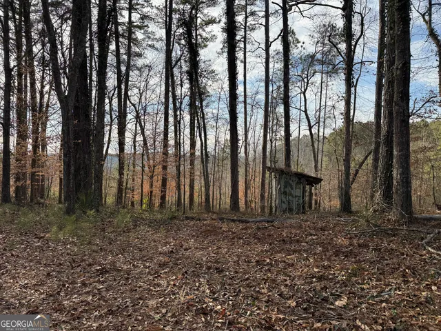 $59,995 | 0 Old Georgia Road, Heflin, AL 36262