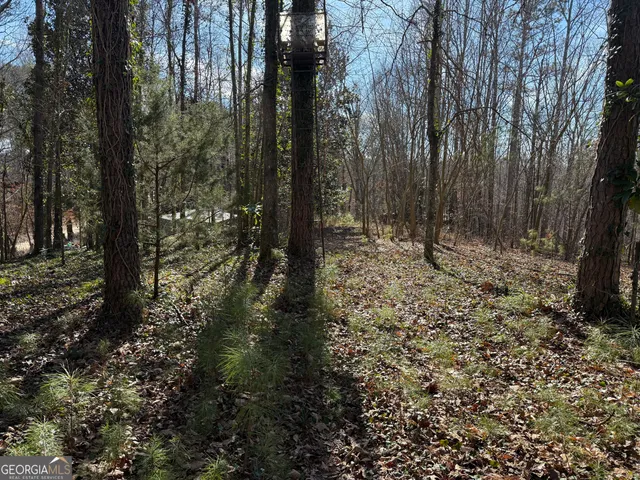 $59,995 | 0 Old Georgia Road, Heflin, AL 36262